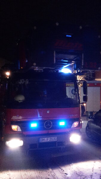 Tannenbäume abschmücken – Bild 3
