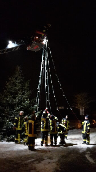 Tannenbäume abschmücken – Bild 5