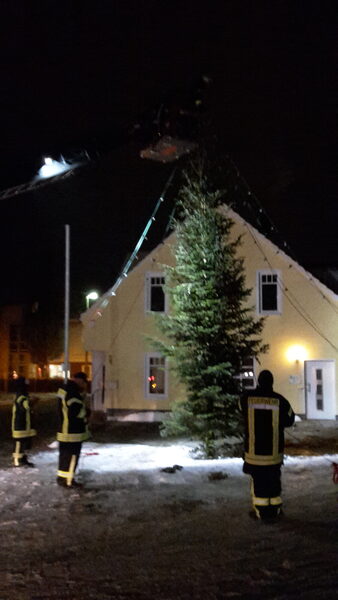 Tannenbäume abschmücken – Bild 13