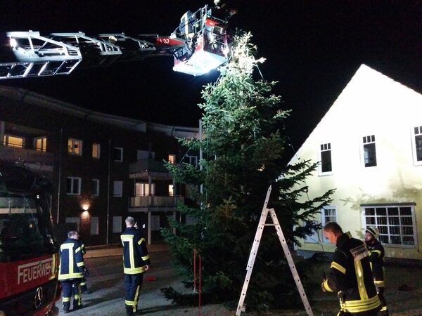 Weihnachtsbäume geschmückt – Bild 2