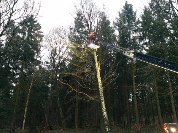 Die ersten Sturmeinsätze "kamen" am frühen Donnerstagmorgen – Bild 4