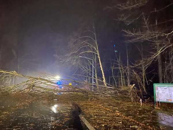 Sturmtief "Zeynep" sorgt für über 80 Feuerwehreinsätze binnen 24 Stunden in Syke – Bild 1